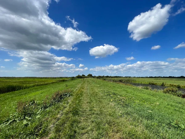 Grünland Rund Rohel Friesland Niederlande — Stockfoto