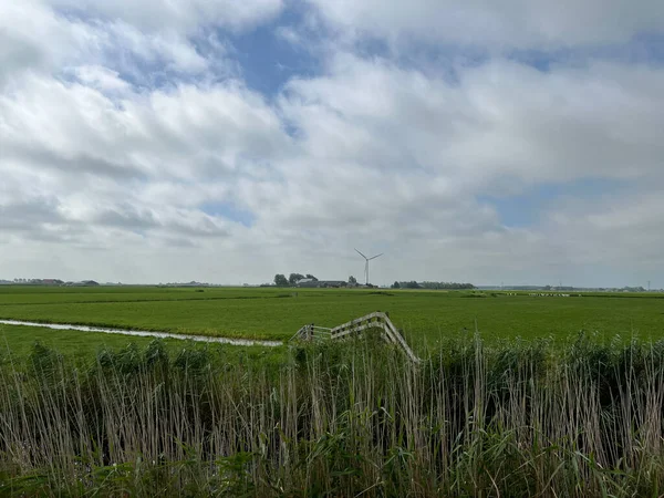 Farmland Achlum Friesland Netherlands — 图库照片