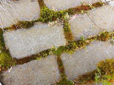 Grunge tarzında eski tuğla duvar. Monokrom fotoğrafçılık. Tasarım ve dekorasyon için arkaplan.