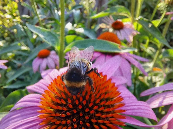 Eine Biene Sammelt Nektar Auf Einer Roten Blume — Stockfoto