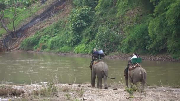 2022 Február Turisták Elefántot Lovagolnak Egy Folyóparti Turnén Ban Karieng — Stock videók