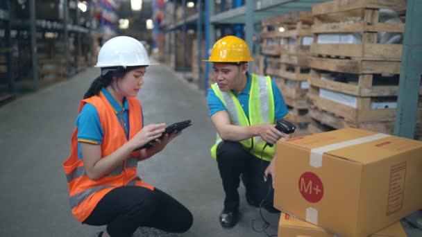 Young Asian Woman Worker Using Barcode Scanner Checking Goods Box — Stockvideo