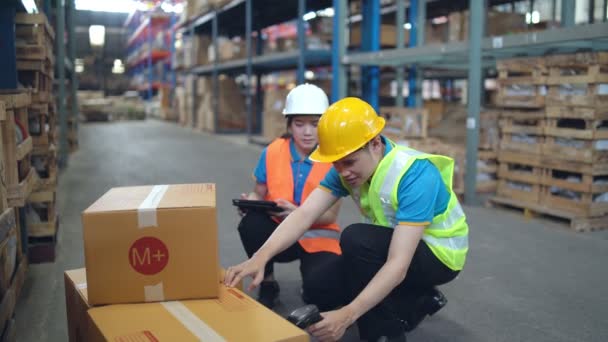 Young Asian Woman Worker Using Barcode Scanner Checking Goods Box — Stock Video