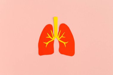 Paper lungs on pink background