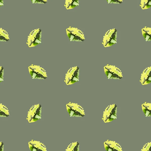 Seamless Pattern Lola Rosa Salad Green Background Modern Ornament Lettuce — Stock Vector
