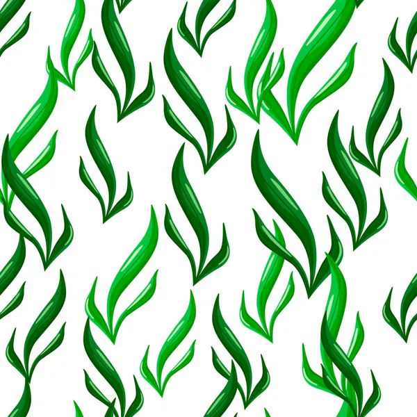 Modèle Sans Couture Algues Sur Fond Blanc Modèles Flore Marine — Image vectorielle