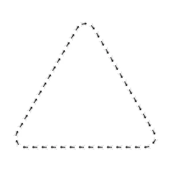 Formiche Triangolari Isolate Sfondo Bianco Insetti Vettoriali Personaggio Stile Piatto — Vettoriale Stock