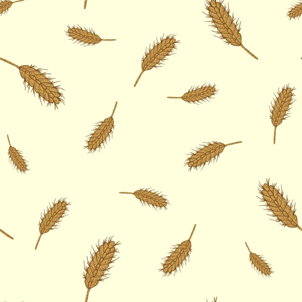 Patrón Sin Costura Trigo Esbozo Cultivos Cereales Textura Repetida Estilo — Archivo Imágenes Vectoriales