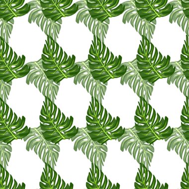 Elle çizilmiş tropikal izi olan dikişsiz bir canavar yaprağı. Modern doğa geçmişi. Mevsimlik tekstil baskıları, kumaş, afişler, arkaplanlar ve duvar kağıtları için vektör illüstrasyonu.