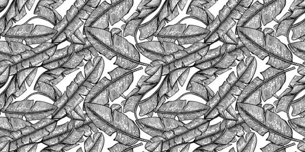 Feuille Banane Motif Sans Couture Sur Fond Blanc Feuilles Tropicales — Image vectorielle