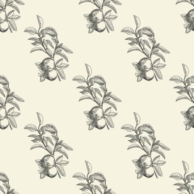 Modern tarzda elmasız desen. El çizimi meyve dokusu. Eski usul oymacılık. Ambalaj kağıdı ve tekstil baskısı için tasarlanmış. Vektör illüstrasyonu