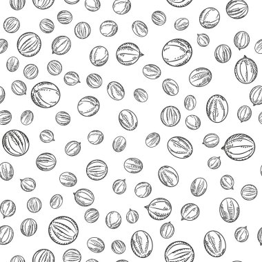 Beyaz arka planda siyah bibersiz desen. Yemek malzemeleri duvar kâğıdı. Doğal sebze. Monokrom oyma vintage tarzı. Vektör illüstrasyonu.