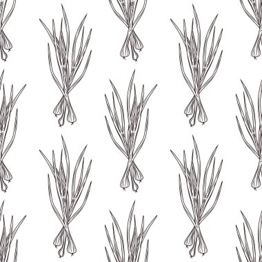 Yeşil soğan mürekkebi beyaz arka planda kusursuz desen çiziyor. Tek renkli gıda malzemesi arkaplanı. Doğal organik taze besin duvar kağıdı. Eski el yapımı gravür. Vektör illüstrasyonu