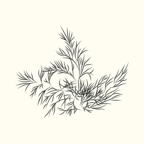 Croquis Encre Branche Herbe Pluviale Isolé Ingrédient Alimentaire Monochrome Plantes — Image vectorielle