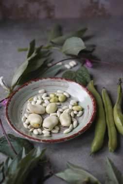 Yeşil tabakta Rus siyah fasulye kabukları ve fasulyeleri.