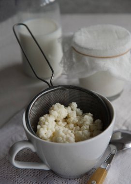 Süt kefir taneleri beyaz masanın üzerindeki beyaz bardağın içinde süzgeçte..