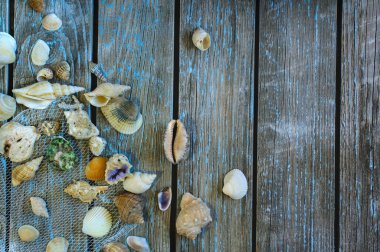Deniz kabuklarından yapılmış, ahşap bir arka planda mavi boyalı bir plaj manzarası. Gün ışığı, kopyalama alanı, klasik tarz. Tatil ve balıkçılık konsepti