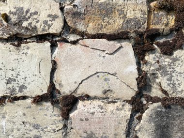 Yosun kaplı antik bir taş kale bahçe duvarı.