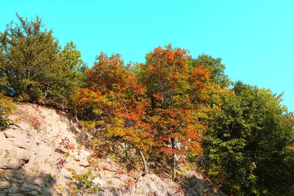 Podzim Podzimní Sezóna Mění Barvy Listy Hora Útes Jasné Nebe — Stock fotografie