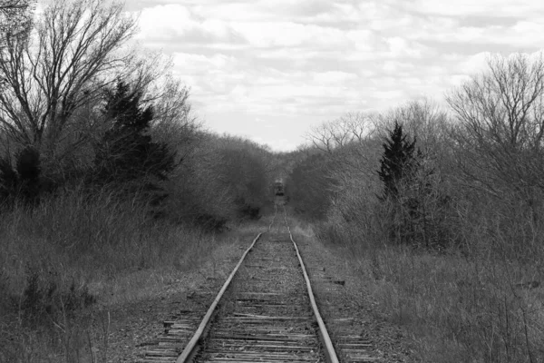 Siyah Beyaz Bir Vintage Fotoğraf Terk Edilmiş Kırsal Tren Rayları — Stok fotoğraf