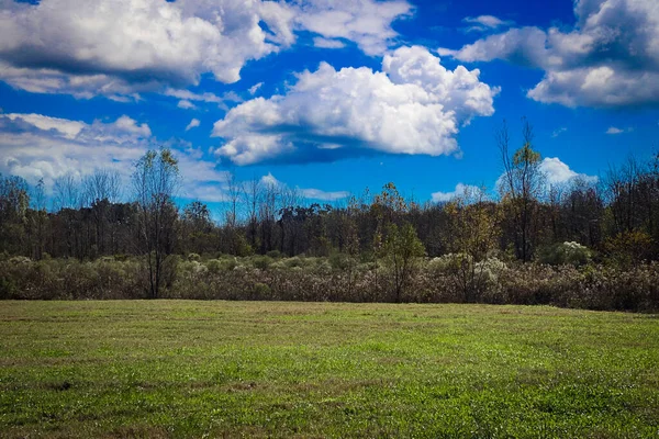 잔디를 들판에서 하늘을 배경으로 가장자리가 봄철의 풍경이 펼쳐지고 — 스톡 사진