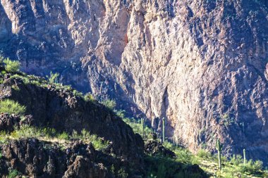 Bir dağ oluşumu. Kayalık yeşil çöl kayalıkları. Güneşli manzara.
