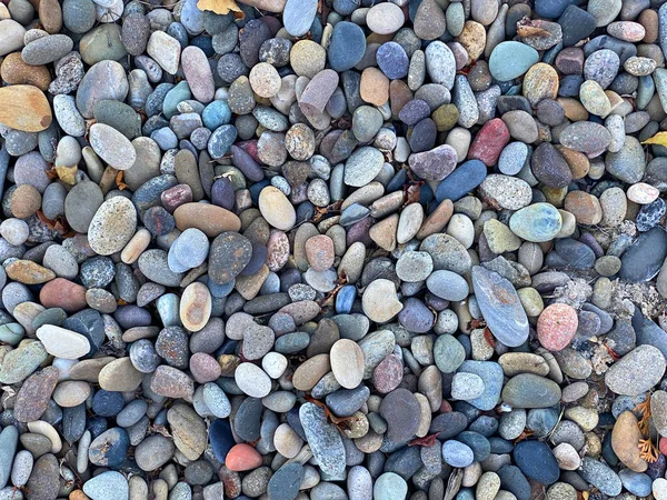 Ein Ozean Küste Kieselstrand Stein Stein Stein Garten Garten Weg — Stockfoto