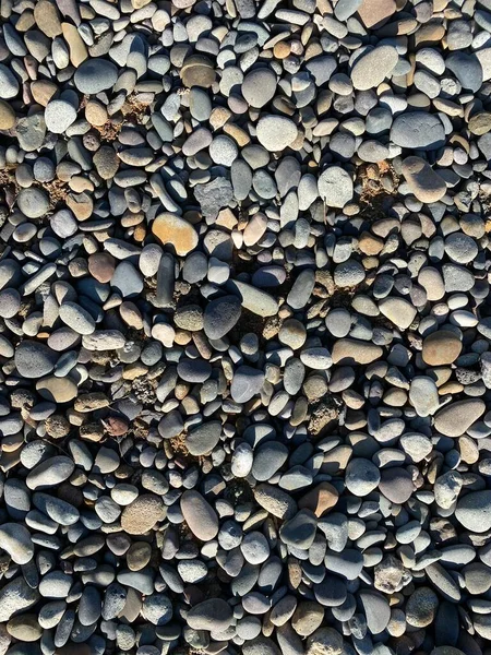 Una Playa Guijarros Playa Océano Costa Roca Jardín Patio Camino —  Fotos de Stock