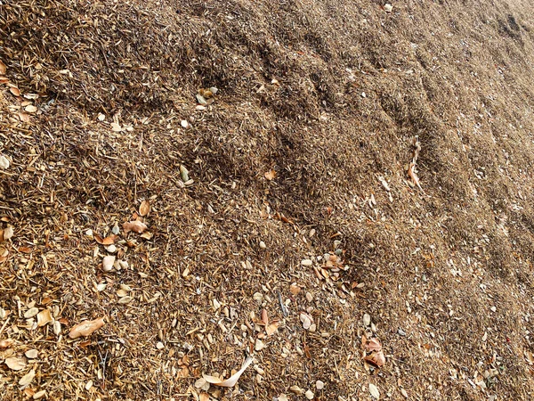 Ein Haufen Natur Hackschnitzel Bodendecker Mulch Garten Frisch Geschnittene Rinde — Stockfoto