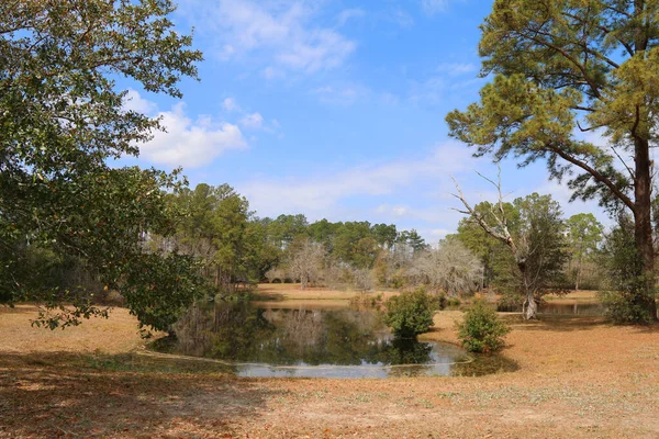 Een Waterplas Achtertuin Ranch Bos Land Herfst Seizoen Duidelijke Blauwe — Stockfoto