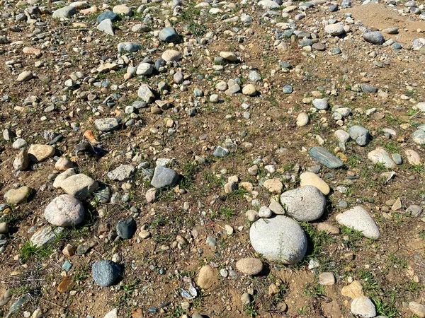 Una Piedra Rocosa Playa Guijarros Marea Baja Orilla Océano Agua — Foto de Stock