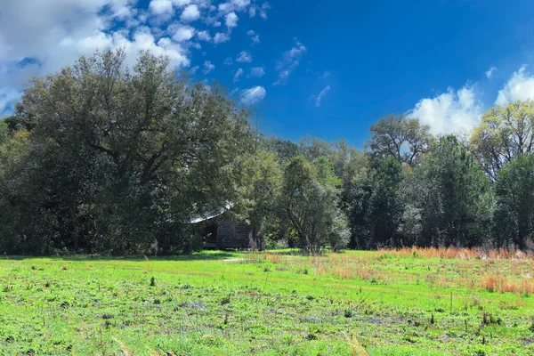 a rural abandoned old rustic farmhouse homestead pasture farm