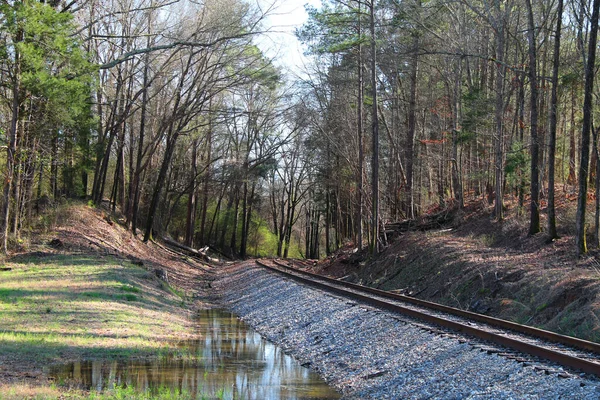 Conjunto Rural Trilhos Ferroviários Ferroviários Através Floresta Úmida Chuvosa Transporte — Fotografia de Stock