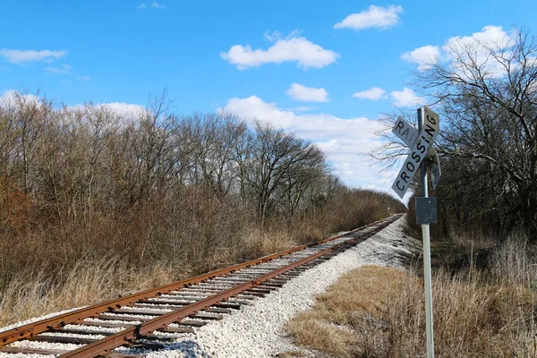 Kırsal Tren Yolu Geçiş Sinyali Kırsal Demiryolu Taşıma Rayları Paslı — Stok fotoğraf