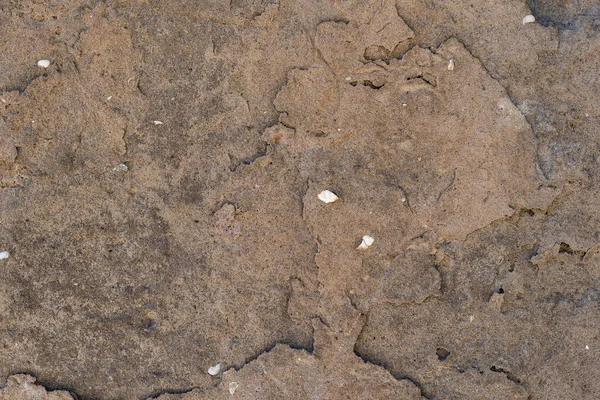 Beton doku, duvar, çatlaklar ve çizikler arka plan olarak kullanılabilir.