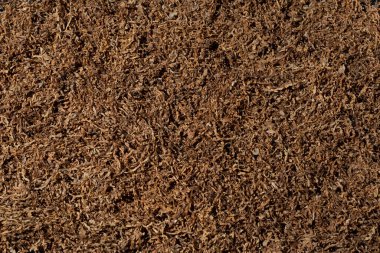 Yakın planda tütün dokusu tüttürüyorum. En iyisinden..