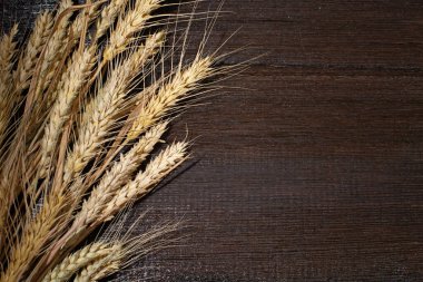 Arkaplan kulakları, tahtadan bir masaya saçılmış altın buğday taneleri üzerinde yatar..