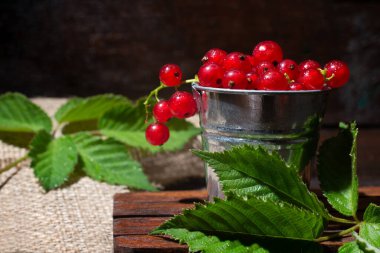 Koyu bir arka planda güzel, olgun kırmızı üzümler..