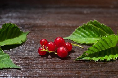 Ahşap bir arka planda güzel, olgun kırmızı üzümler. Olgun bir yaz meyvesi mahsulü.