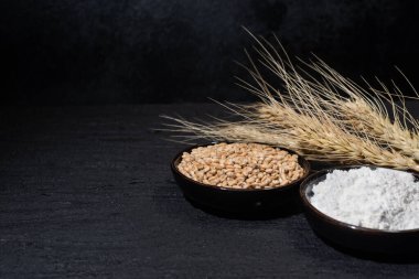 Tahıl, un ve buğday dikenleri. Boşluğu kopyala.