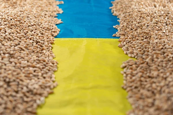 Свіжий Урожай Пшениці Україні Український Прапор Свіжому Зерні — стокове фото