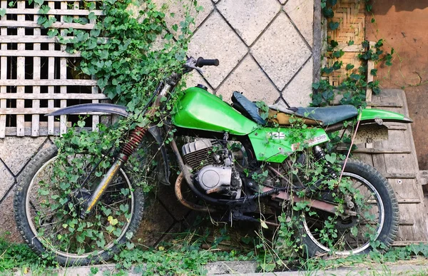 Motocicleta de estilo antiguo con plantas —  Fotos de Stock