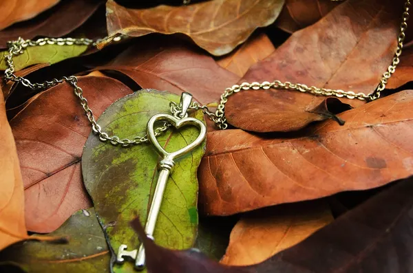Золотий ключ намисто на осінніх листках — стокове фото