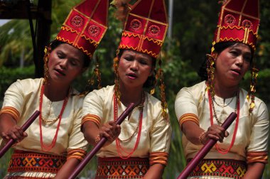 Toraja, Endonezya - 11 Kasım 2013: Tana Toraja kadın geleneksel kıyafet festivalinde, Toraja - Endonezya