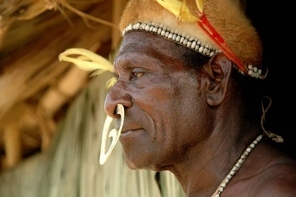 Jakarta, Endonezya - 17 Ağustos 2007: Bay Yakobus 'un portresi, Papua, Endonezya' dan bir Asmat kabilesi sakini. TMII, Jakarta - Endonezya 'da geleneksel bir festivale katılıyor.