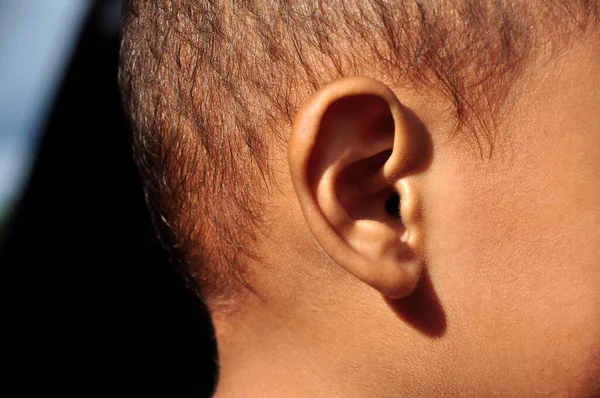 Closeup Asian Toddler Ear Black Background Stock Image