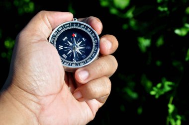 Holding navigation compass close up green leaves background