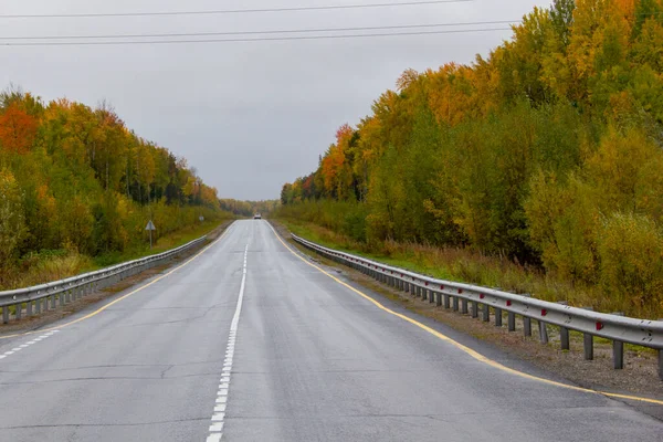 Piste Automne Frontière Okrug Autonome Khanty Mansiysk Région Sverdlovsk Russie — Photo