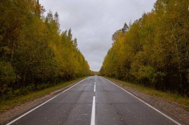 Rusya 'nın Khanty-Mansiysk Özerk Okrug ve Sverdlovsk Bölgesi sınırında sonbahar pisti. Khanty-Mansi Özerk Okrug ile Sverdlovsk Bölgesi arasında sonbaharda güzel bir yol..