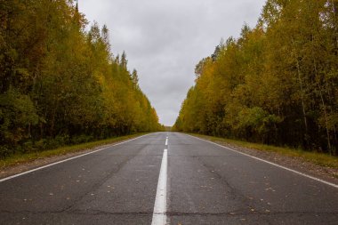 Rusya 'nın Khanty-Mansiysk Özerk Okrug ve Sverdlovsk Bölgesi sınırında sonbahar pisti. Khanty-Mansi Özerk Okrug ile Sverdlovsk Bölgesi arasında sonbaharda güzel bir yol..